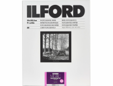 1x 50 Ilford MG RC DL  1M  24x30