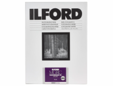 1x100 Ilford MG RC DL 44M 10,5x14,8