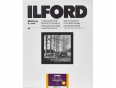 1x 50 Ilford MG RC DL 25M  24x30