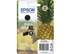 Epson cartridge cerna 604 XL                    T 10H1