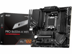 PRO B650M-A WIFI, Mainboard