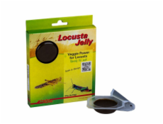 Lucky Reptile Locusta Jelly 4x 15g