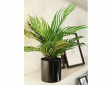 Areca palma, 46 cm Umelá kvetina 