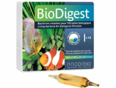 Prodibio Biodigest 12 ampule