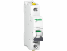 Schneider Electric, IC60N 1P 1A B - A9F03101