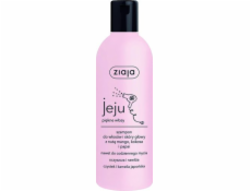 Ziaja Jeju Hair and Scalp Shampoo 300 ml