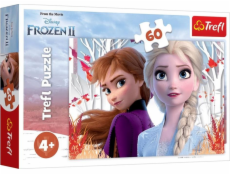 Trefl Puzzle 60 Prvky země ledu 2 - Enchanted World of Anna a Elsa