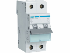 HAGER Polo Overprournt Switch 2P B 6A 6KA AC (MBN206E)