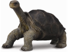 Collecta Turtle Collecta Figurine z ostrova Pinta (004-88619)