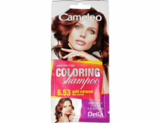 Delia Delia Cosmetics Cameleo omalovánky č. 6.53 Zlatý karamel 1 ks