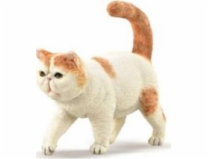 Collecta Exotic Shorthair Cat