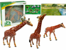 Import figurky Leantoys Giraffe Family + pozadí Afrika (5383)