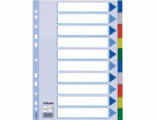 Esselte A4 Plastic Segregator 10 karet (10K217A)