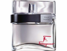 Salvatore Ferragamo f od Ferragamo Pour Homme Edt 100 ml