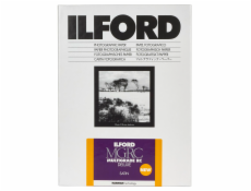 1x 10 Ilford MG RC DL 25M  24x30