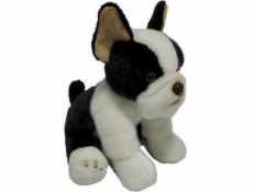 Maskotka pies boston terrier 30cm