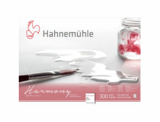 Hahnemühle Harmony Watercolour cold pressed 12 Sheets 300 g  A4