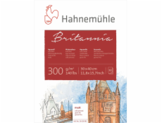 Hahnemühle Britannia Watercolour cold pressed 30x40cm 300g 12 sh.