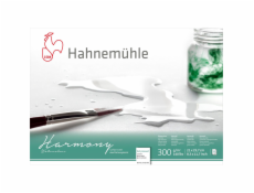 Hahnemühle Harmony Watercolour hot pressed  12 Sheets  300g  A4