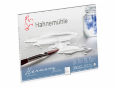 Hahnemühle Harmony Watercolour rough   12 Sheets  300g  A