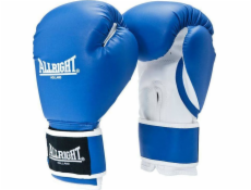 Allright POWER GEL BOXING GLOVES 14oz univerzální