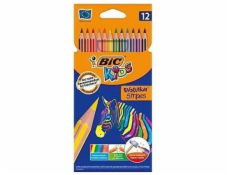 Bic Eco Evolution Stripes Pastelky 12 barev (950522)