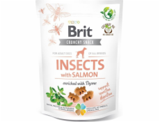 Brit Care Dog Insects&Salmon - Dog trea