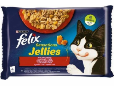 Felix Sensations - beef with tomato and