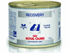 ROYAL CANIN Recovery Wet dog and cat fo