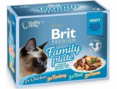 BRIT Premium Cat Pouch Gravy Fillet Fam