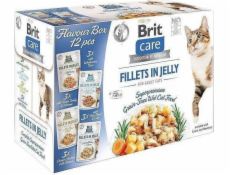 BRIT Care Fillets in Jelly Flavour Box-