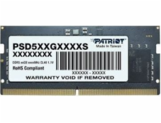 Patriot Memory Signature PSD516G560081S