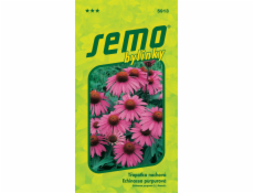 Semeno Třapatka nachová-Echinacea 1 g