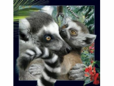 3D pohlednice Lemur, která stojí za to (180133)