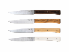 Opinel Table Knives Facette Set of 4   Mix