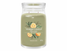 Svíčka ve skleněné dóze Yankee Candle, Šalvěj a citrus, 567 g