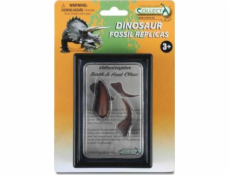 COLLECTA ZUB A DRÁP DOLNÍ KONČETINY VELOCIRAPTORU V BALENÍ