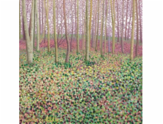 Susan Entwistle Envelope Pass A Walk in the Woods