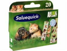 Salvequick Salveqiuck Animal Planet náplasti pro děti 1 balení-20 ks