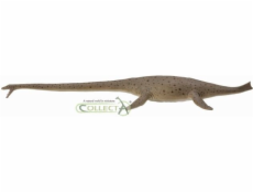 Figúrka Collecta Dinosaur Thalassomedon 1:40 (004-88760)