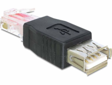 Delock USB adaptér 65234 USB - RJ45 čierny (65234)