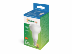 Žárovka SPECTRUM LED, R50, studená bílá, E14, 6 W, 570 lm