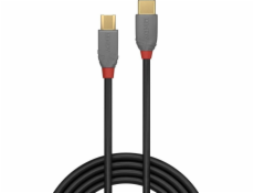 Lindy USB-C - microUSB USB kabel 2 m černý (36892)