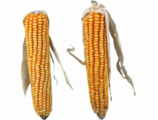 Trixie CORN COBS, 2 ks/250 g