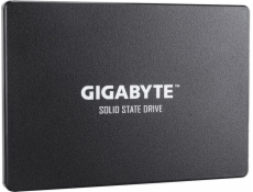 Gigabyte 256GB 2.5 SATA III SSD (GP-GSTFS31256GTND)