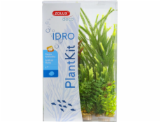 Zolux Plantkit Idro N°4