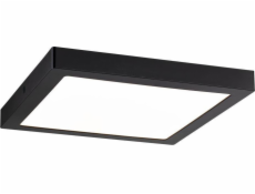 Paulmann Abia LED Panel stropní svítidlo 22W 300x300mm Matt Black