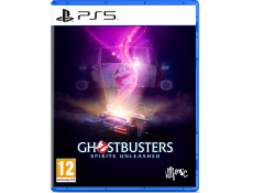 Ghostbusters: Spirits Unleashed PS5