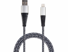 USB kabel 2GO 2GO USB Datenkabel - stříbrný - 100cm pro Apple 8-Pin