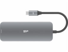 Silicon Power SR30 Docking USB 3.2 Gen 1 (3.1 Gen 1) Type-C, šedá metalíza